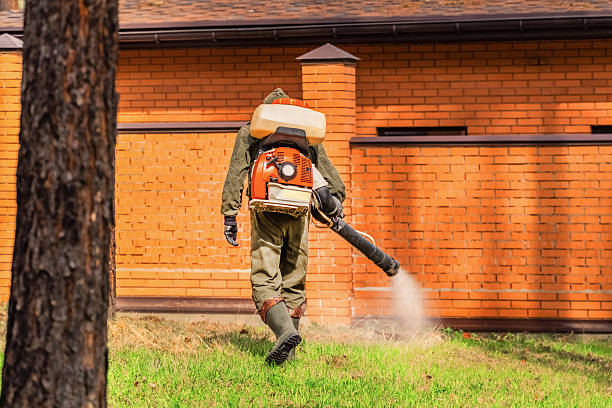 Bed Bug Clearance Verification and Documentation in Putney